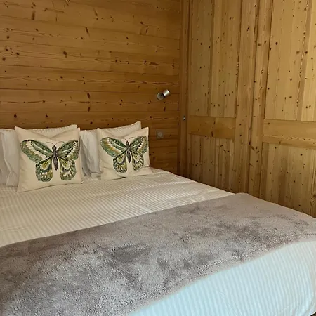 Modern 3 Bedroom Close To Lifts Morzine